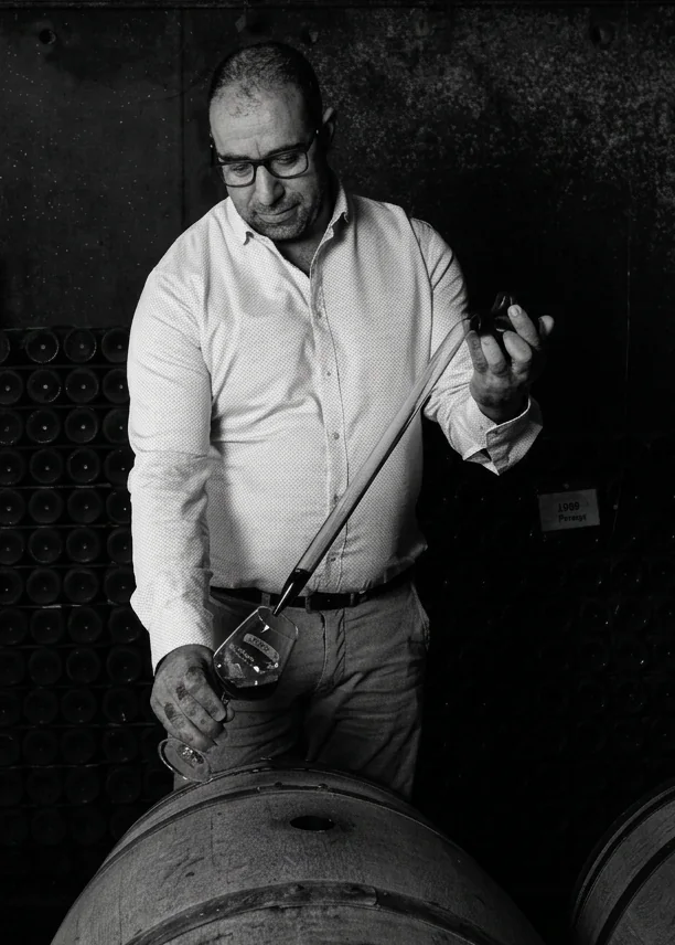 Antonio Botica Gomes - founding partner, vineyard management expert