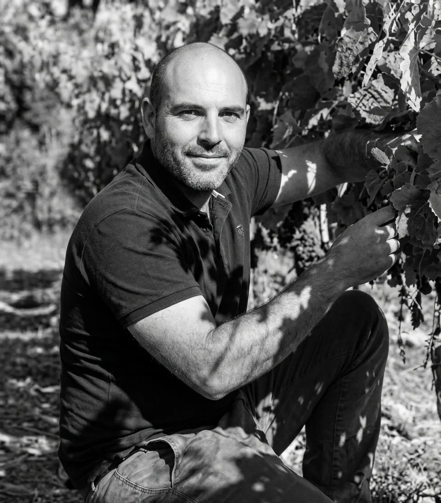 Loïc Galy - founding partner, cellar expert and wine preparation